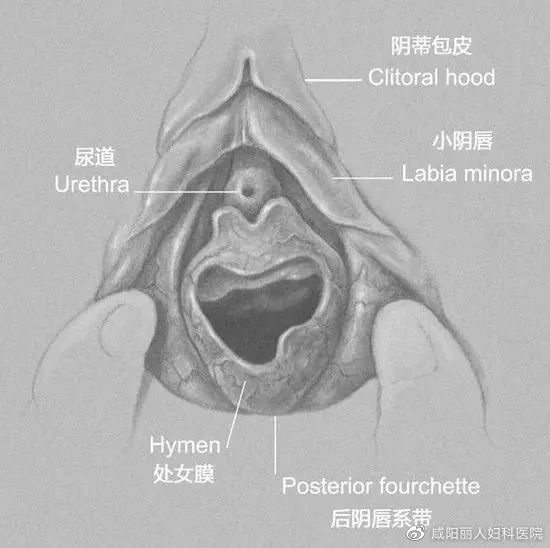 cea13f70ly4hc1j24hi2aj20fa0f8js2 cea13f70ly4hc1j24hi2aj20fa0f8js2