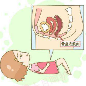 阴道紧缩术疗法